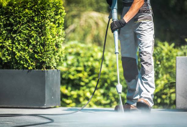 Best Solar Panel Cleaning  in Mount Gay Shamrock, WV